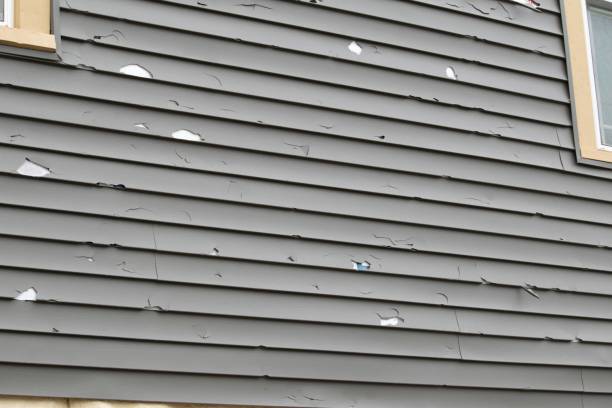 Siding Removal and Disposal in Ransomville, NY