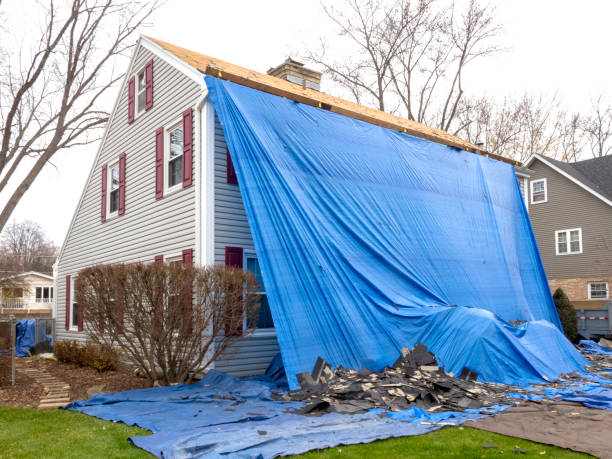 Affordable Siding Repair and Maintenance Services in Ransomville, NY